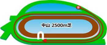 中山競馬場のコースの特徴：芝2500m