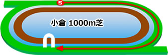 小倉競馬場の芝コース1000m